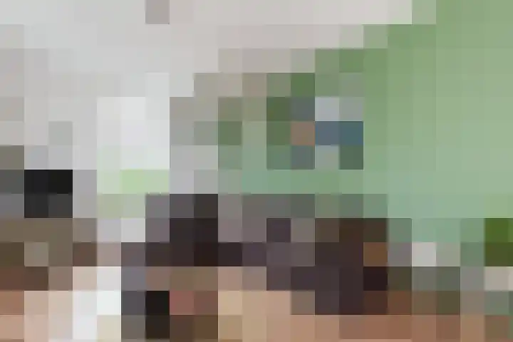 Vrijlandtstraat 2 Pernis Rotterdam thumbnail 4