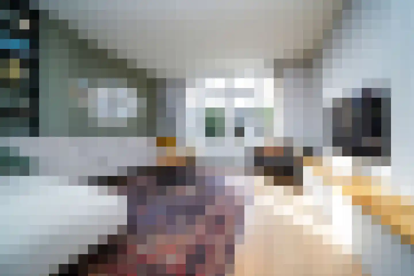 Vrijlandtstraat 44 Pernis Rotterdam thumbnail 9