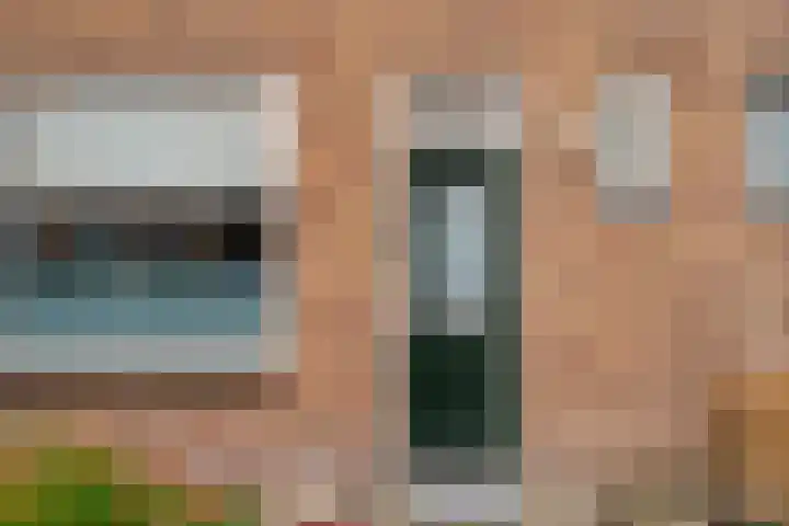 Vrijlandtstraat 64 Pernis Rotterdam thumbnail 12