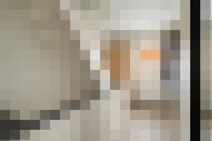 Vrijlandtstraat 64 Pernis Rotterdam thumbnail 42