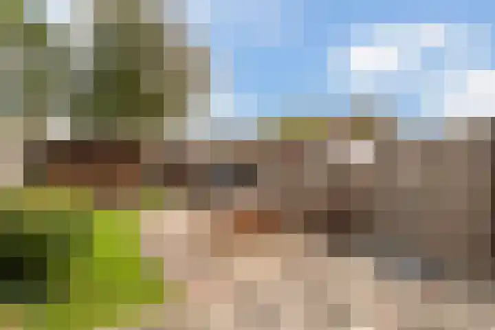 Vrijlandtstraat 64 Pernis Rotterdam thumbnail 8