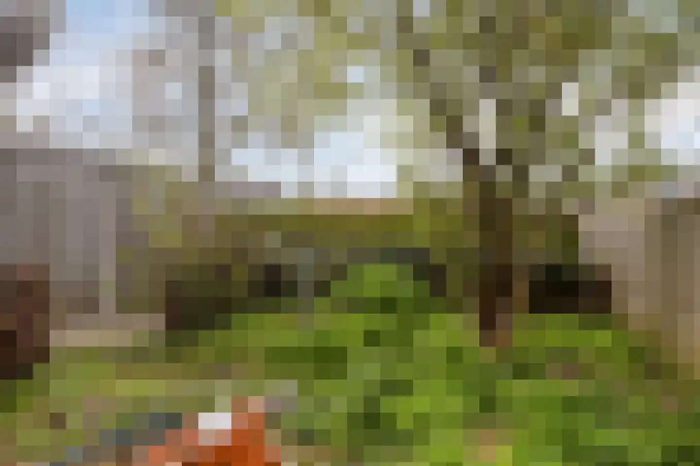 Vrijlandtstraat 70 Pernis Rotterdam thumbnail 5