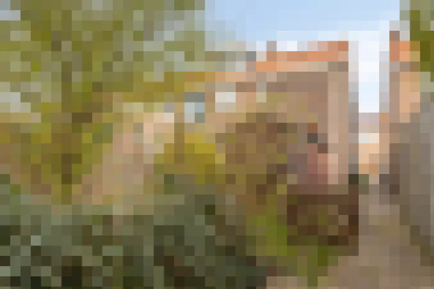 Vrijlandtstraat 70 Pernis Rotterdam thumbnail 7