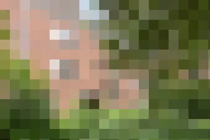 Vrijmark 164 Almere thumbnail 30