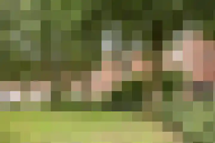 Vrijmark 164 Almere thumbnail 31