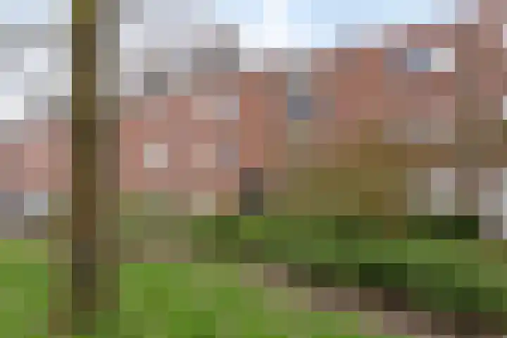 Vrijmark 165 Almere thumbnail 23