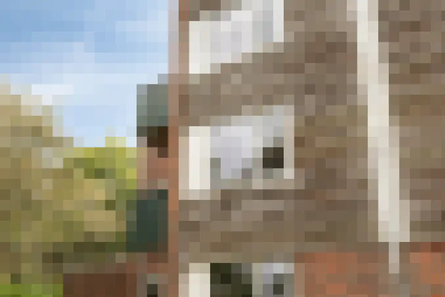 Vrijmark 183 Almere thumbnail 38