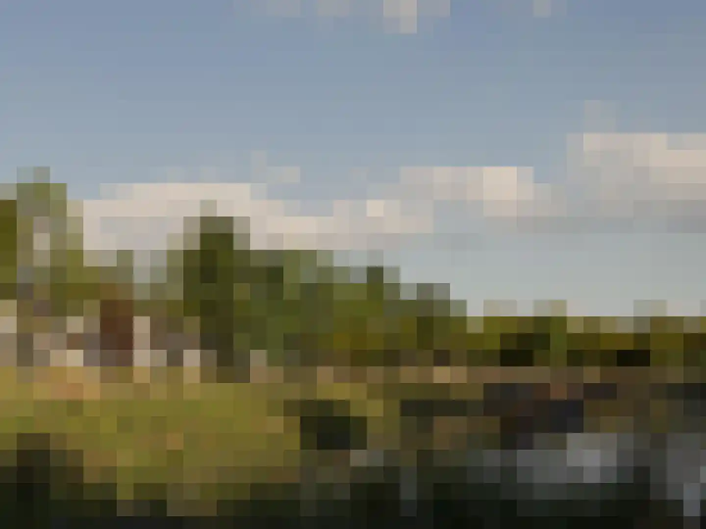 Vrijstaand - C2 (Bouwnr. 15) 15 's-Gravenzande thumbnail 5
