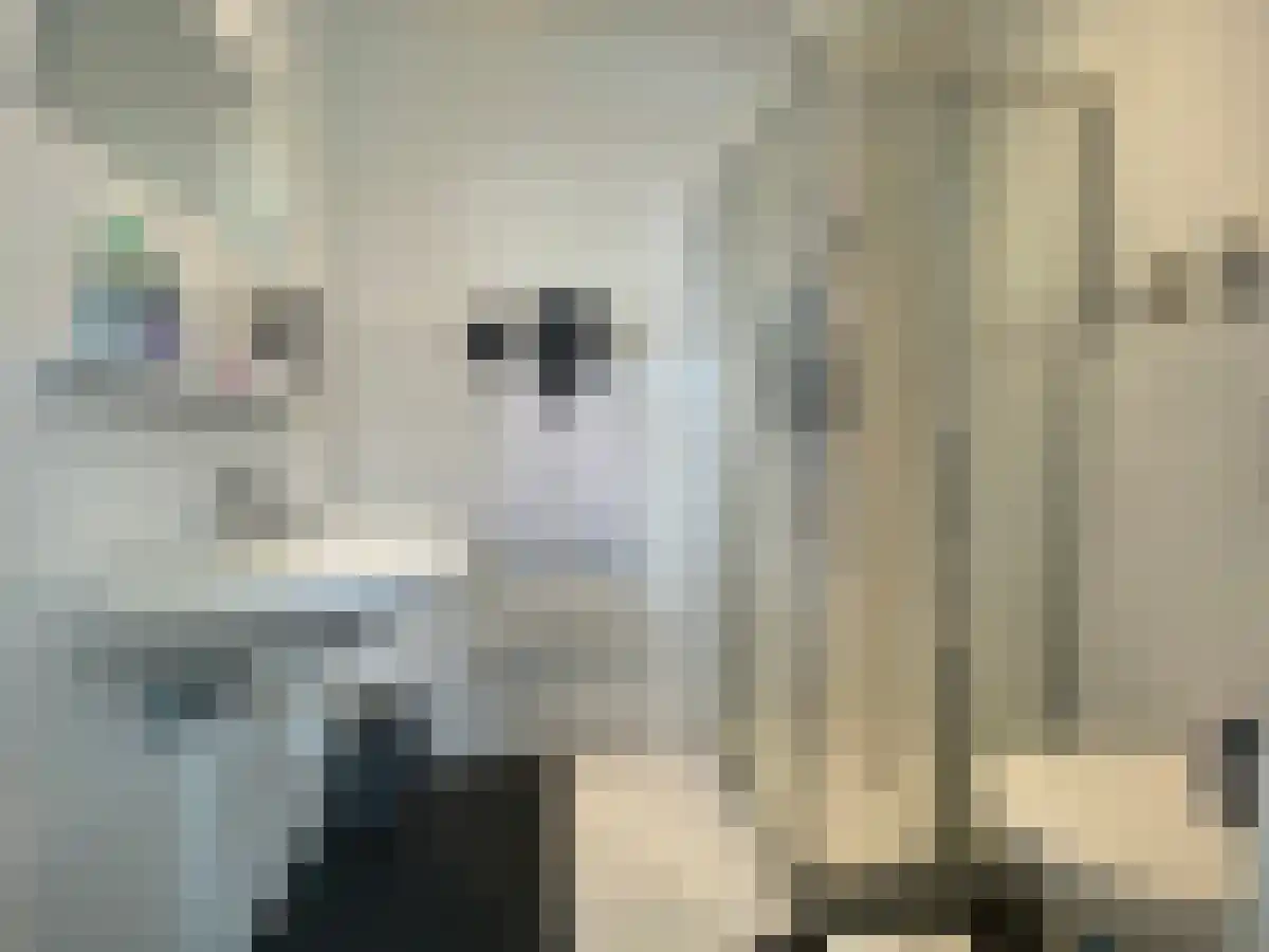 Vrijstaathof 2 A Den Haag thumbnail 4