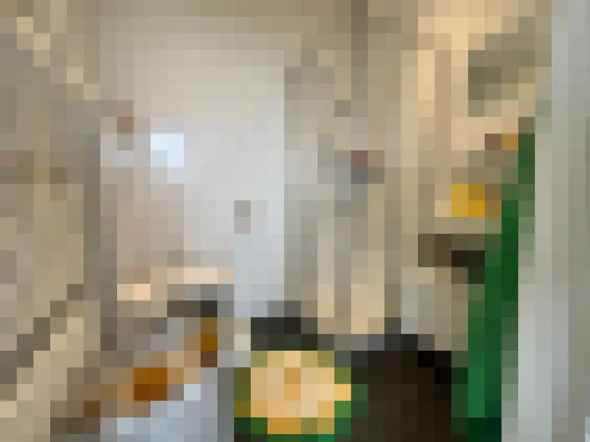 Vrijstaathof 5 Den Haag thumbnail 4