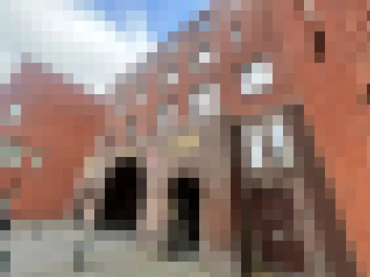 Vrijstaathof 5 Den Haag thumbnail 5
