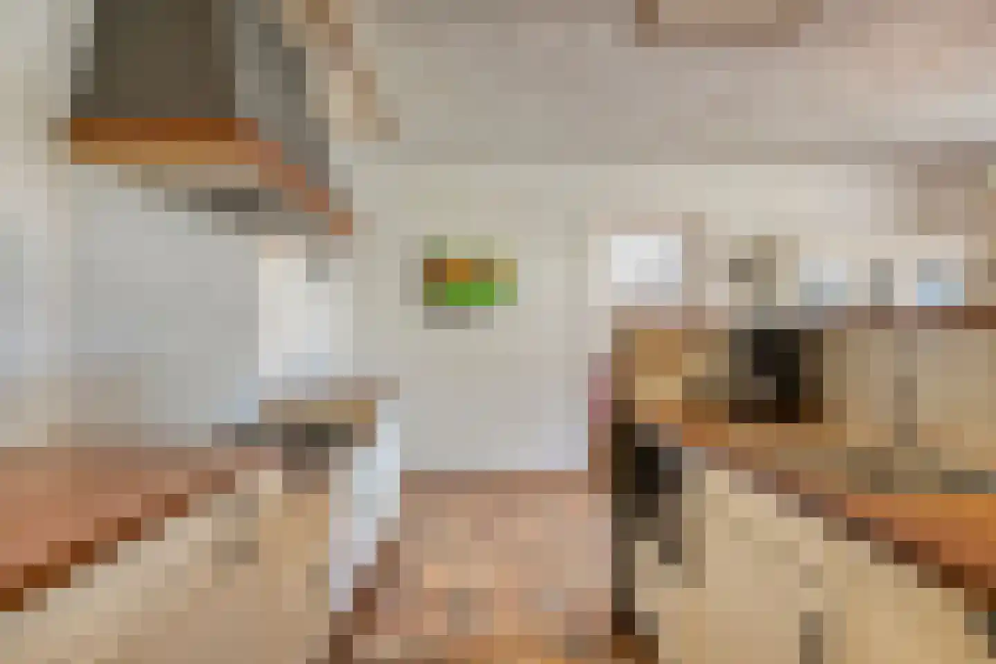 Vrijstraat 5 Ledeacker thumbnail 19