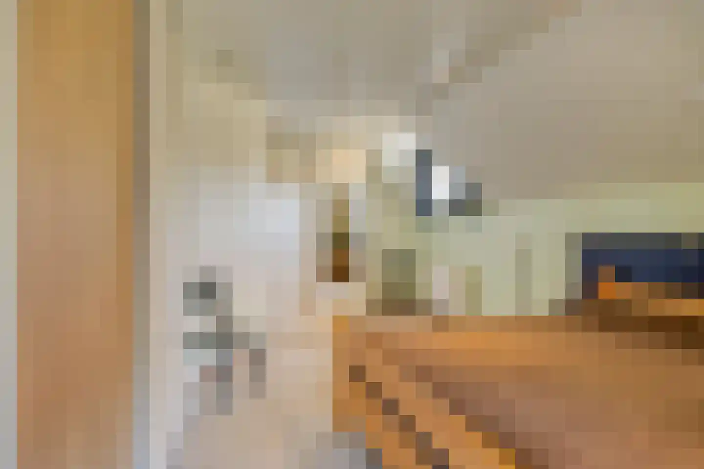 Vrijstraat 5 Ledeacker thumbnail 42