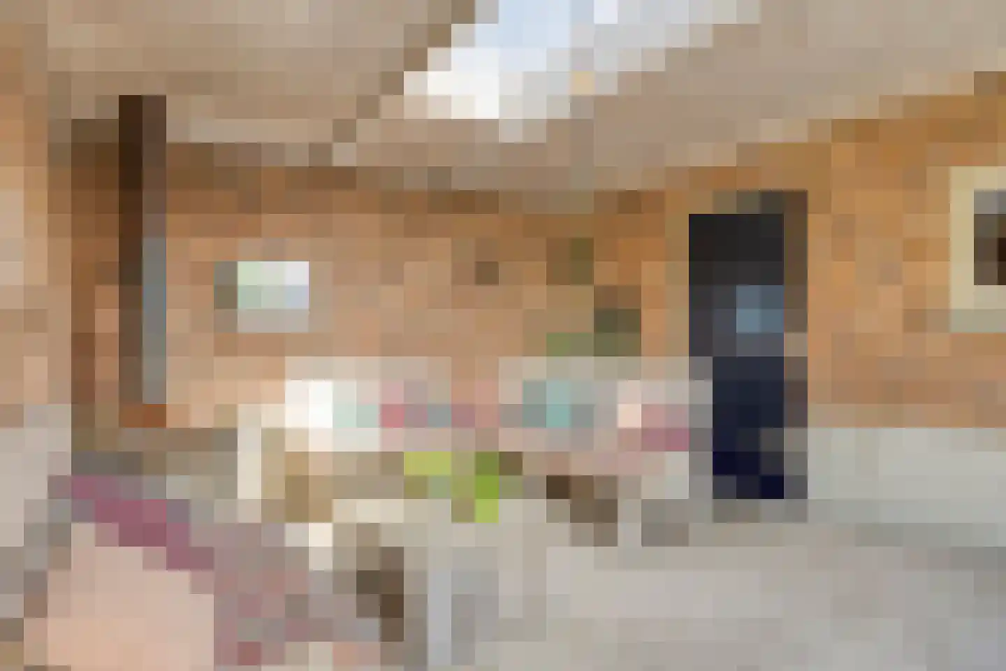 Vrijstraat 5 Ledeacker thumbnail 60