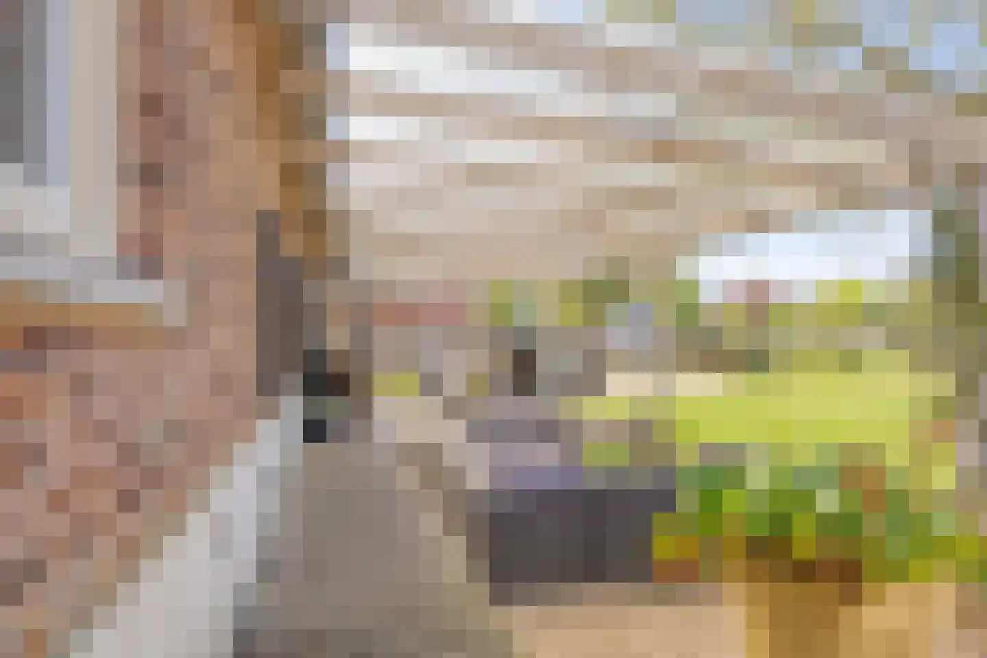 Vrijstraat 5 Ledeacker thumbnail 62