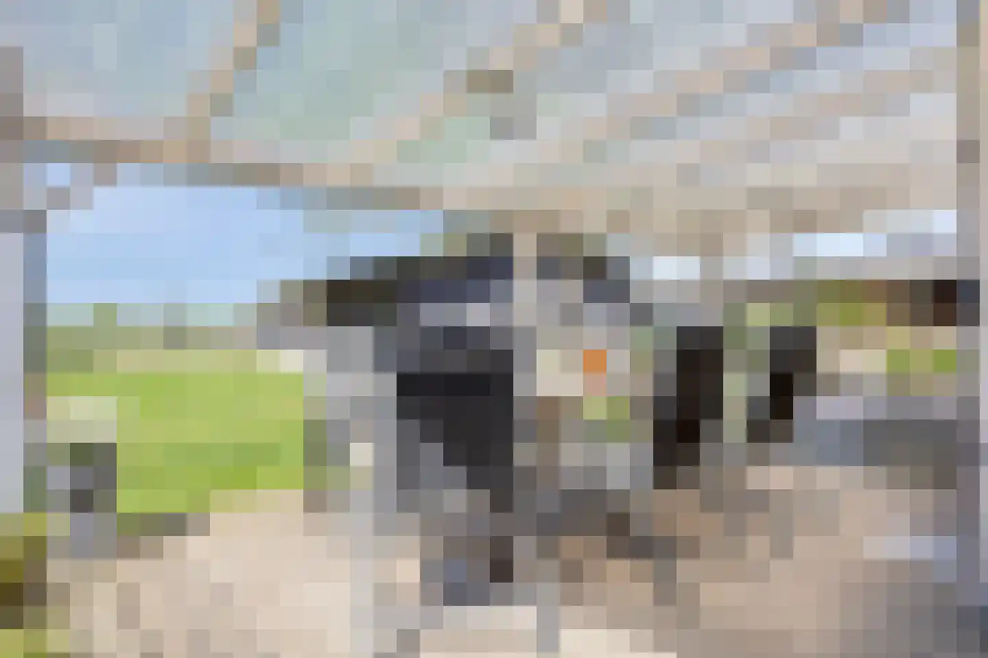 Vrijstraat 5 Ledeacker thumbnail 64