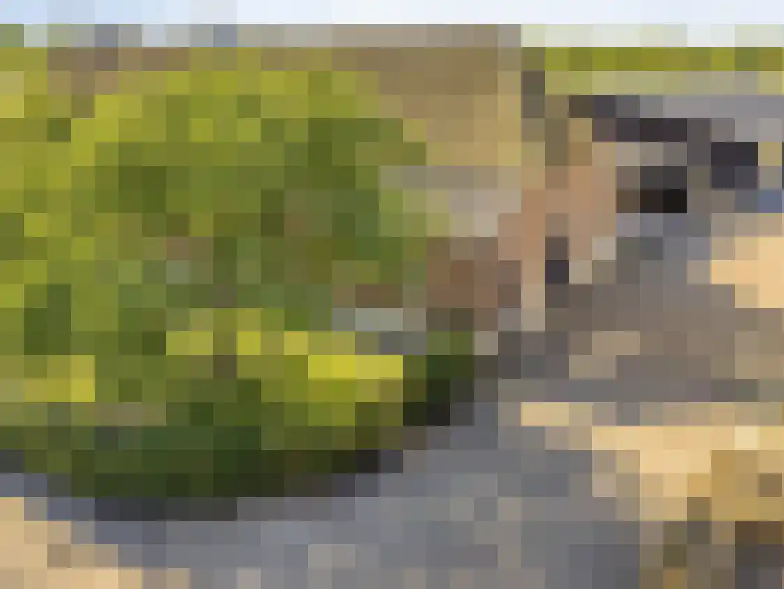 Vrijstraat 5 Ledeacker thumbnail 8