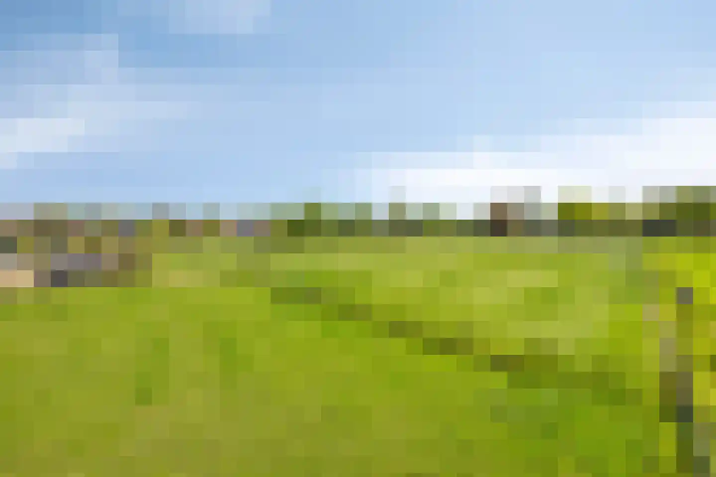 Vrijstraat 5 Ledeacker thumbnail 90