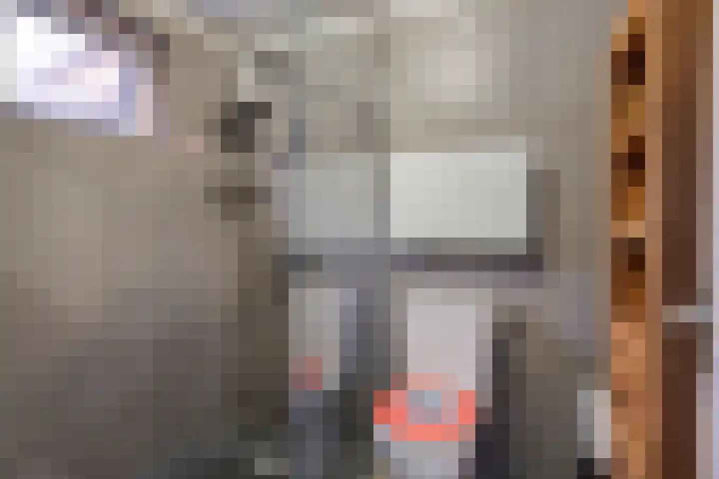 Vrijstraat 8 Sas van Gent thumbnail 10