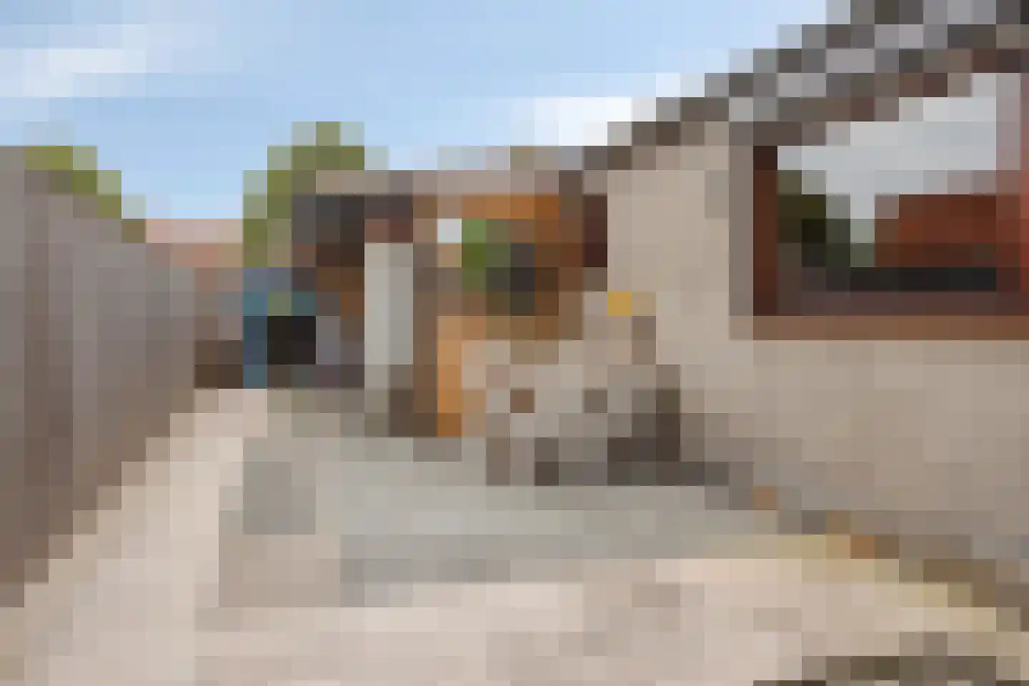 Vrijstraat 8 Sas van Gent thumbnail 16