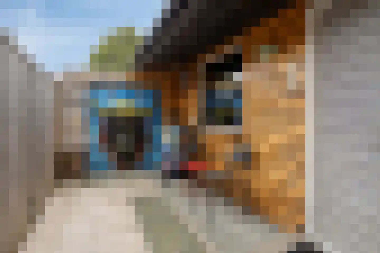 Vrijstraat 8 Sas van Gent thumbnail 17