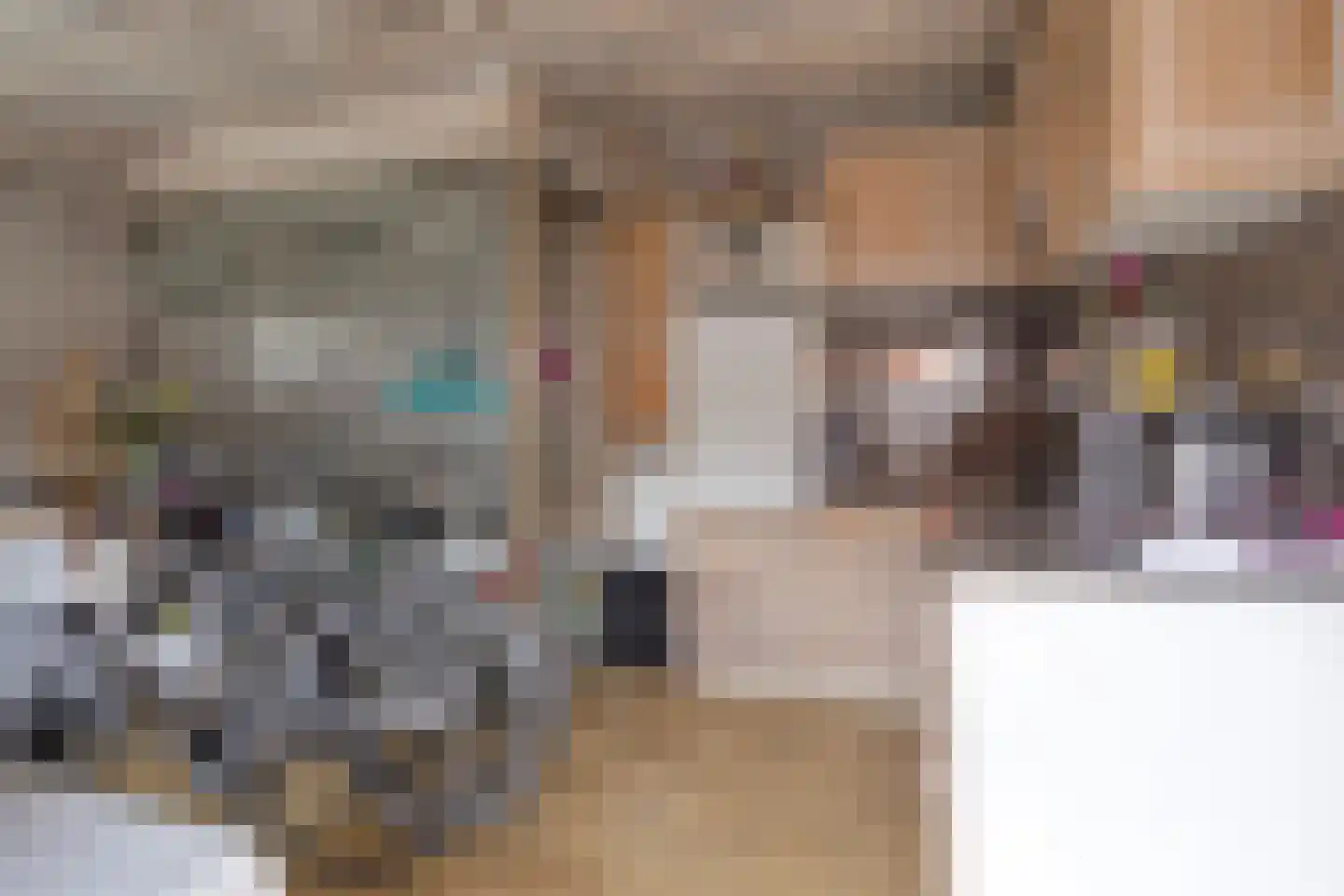 Vrijstraat 8 Sas van Gent thumbnail 18