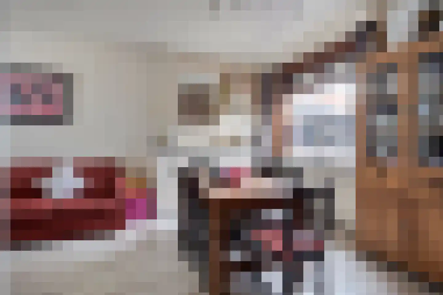 Vrijstraat 8 Sas van Gent thumbnail 5
