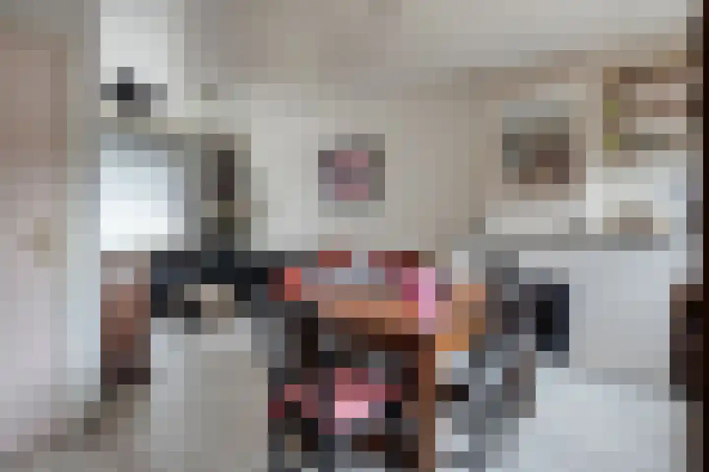 Vrijstraat 8 Sas van Gent thumbnail 6