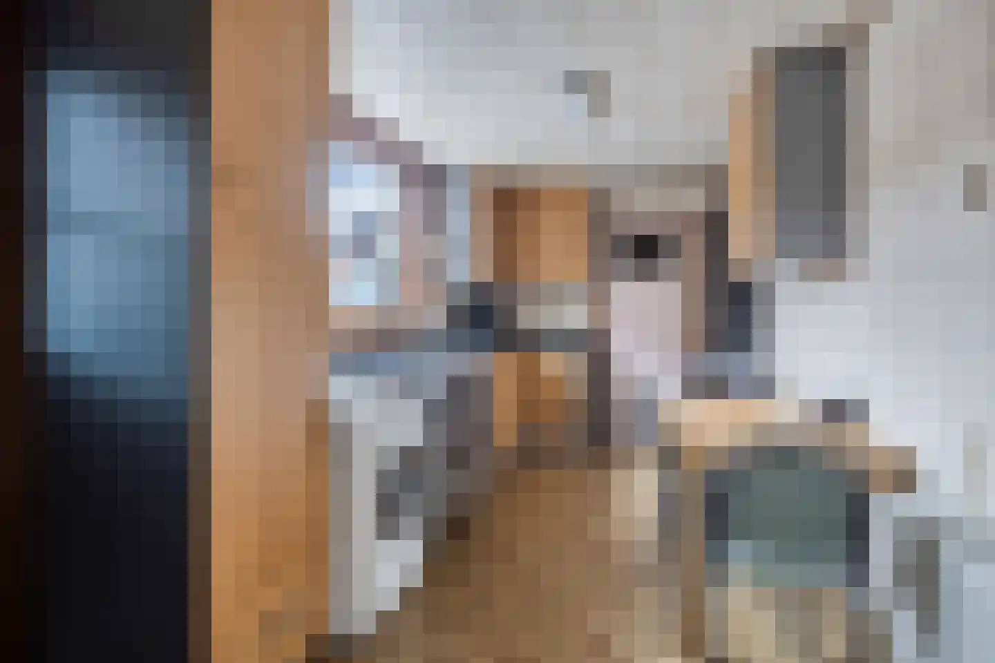 Vrijstraat 8 Sas van Gent thumbnail 7
