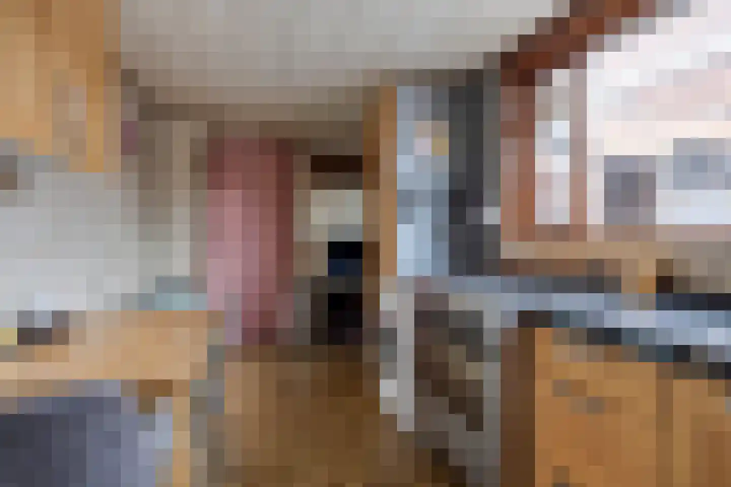 Vrijstraat 8 Sas van Gent thumbnail 8