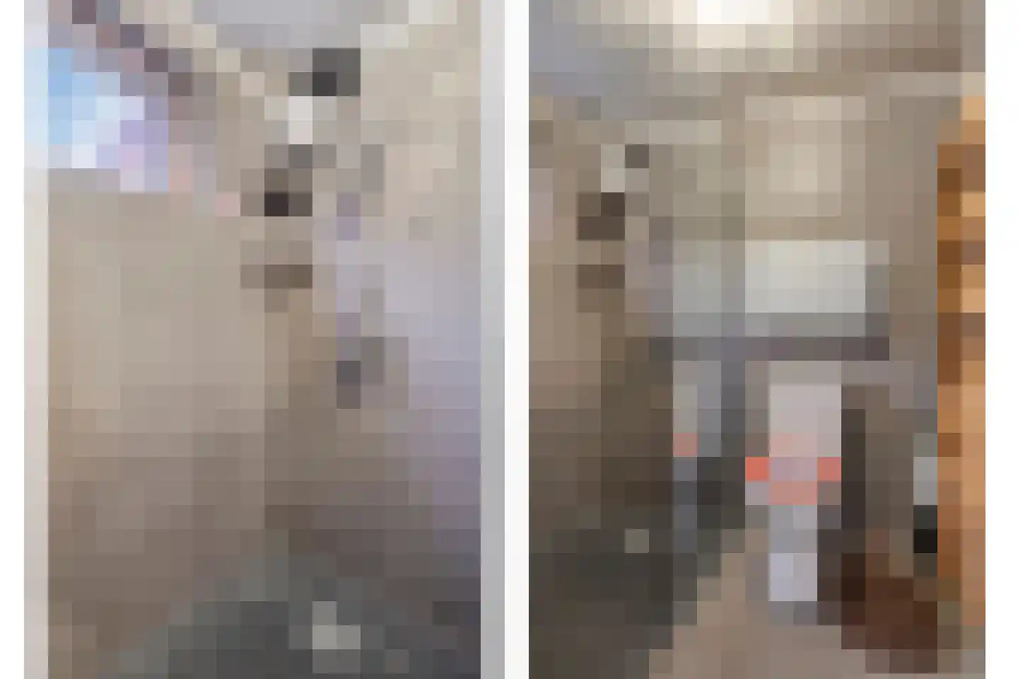Vrijstraat 8 Sas van Gent thumbnail 9