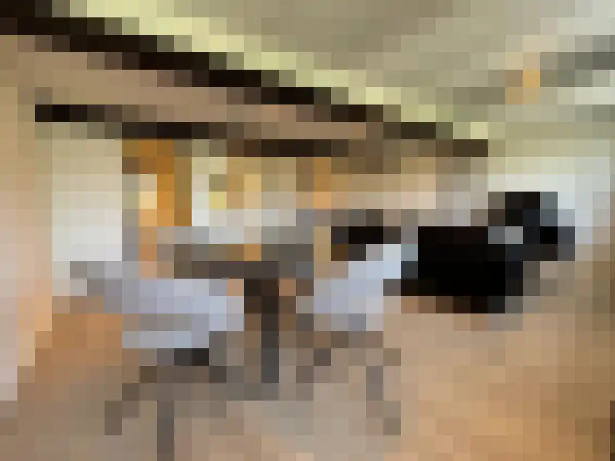Vrijthof 11 Maastricht thumbnail 6