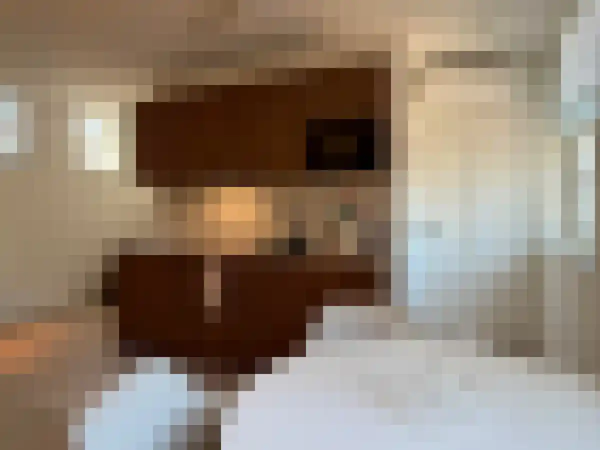 Vrijthof 17 Maastricht thumbnail 4