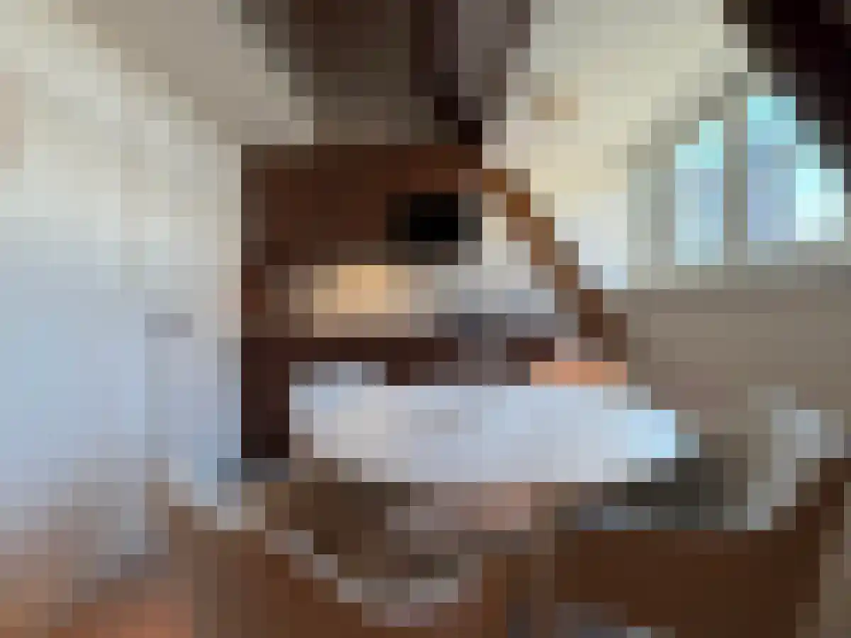 Vrijthof 17 Maastricht thumbnail 5