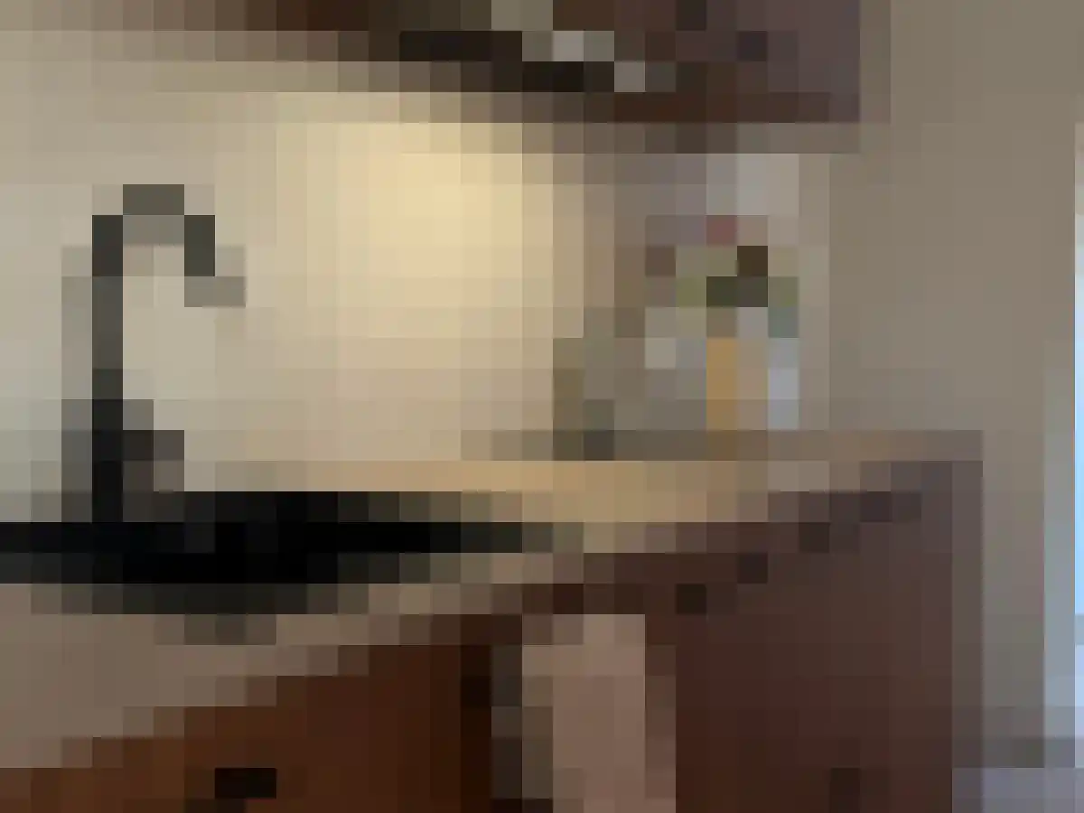 Vrijthof 17 Maastricht thumbnail 5