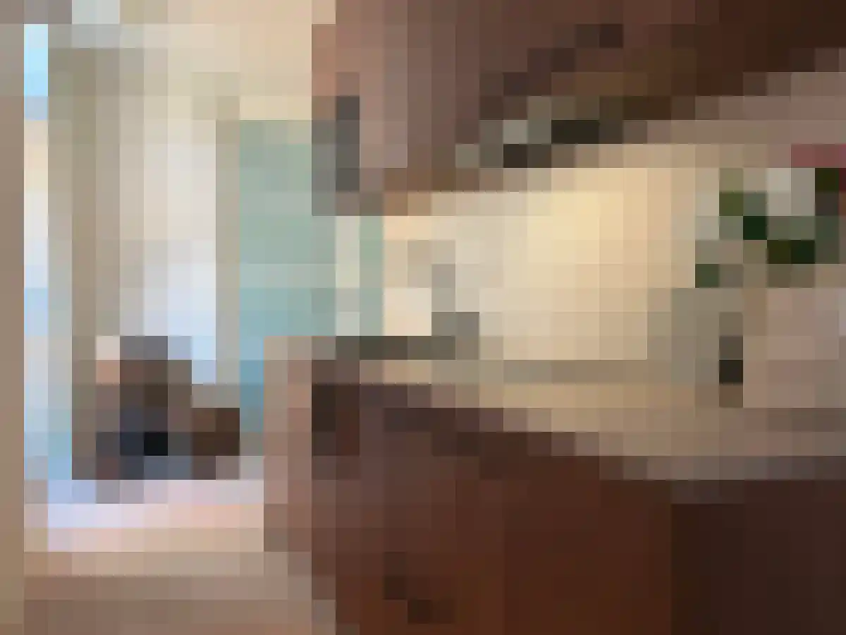 Vrijthof 17 Maastricht thumbnail 6