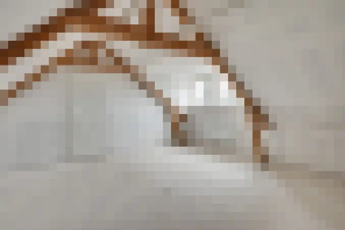 Vrijthof 2 Hilvarenbeek thumbnail 29