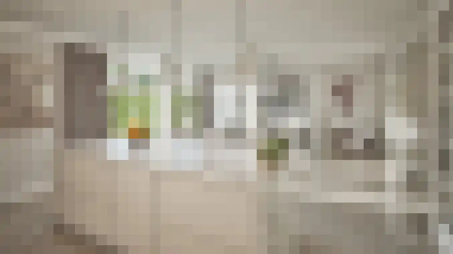 Vrijthof 2 Hilvarenbeek thumbnail 4