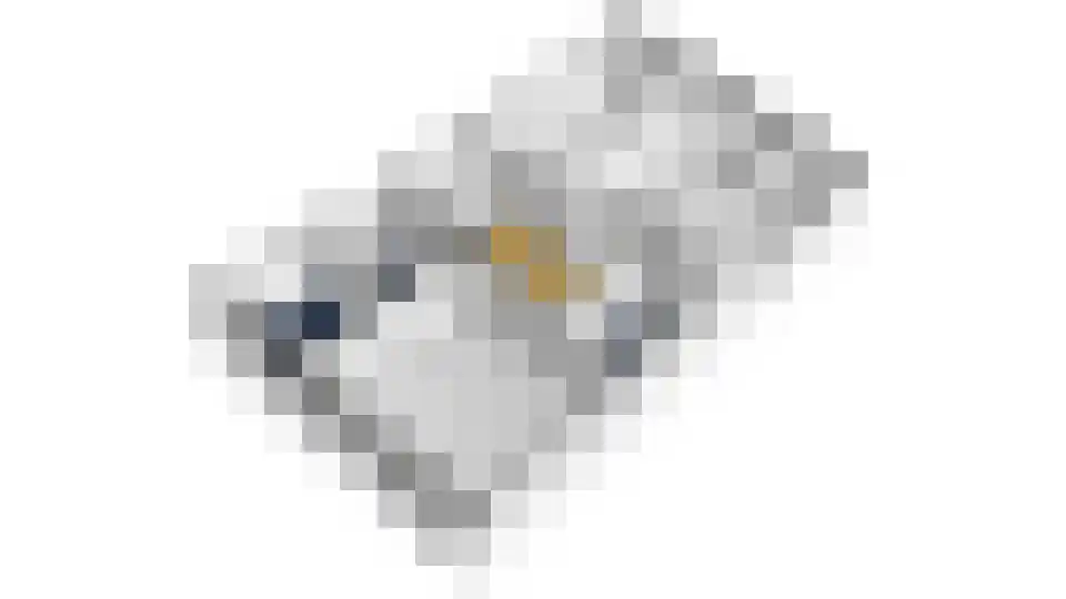 Vrijthof 2 Hilvarenbeek thumbnail 42
