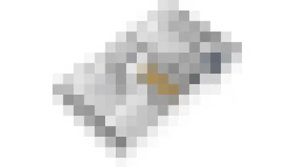 Vrijthof 2 Hilvarenbeek thumbnail 43