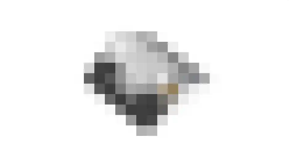 Vrijthof 2 Hilvarenbeek thumbnail 48