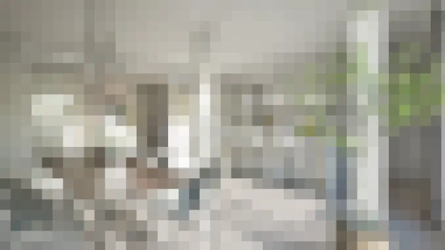 Vrijthof 2 Hilvarenbeek thumbnail 6