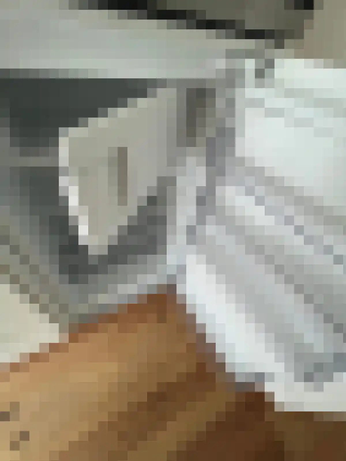 Vrijthof 21 Maastricht thumbnail 5