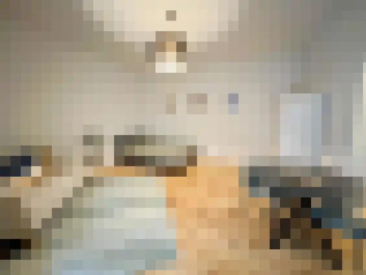 Vrijthof 21 Maastricht thumbnail 6