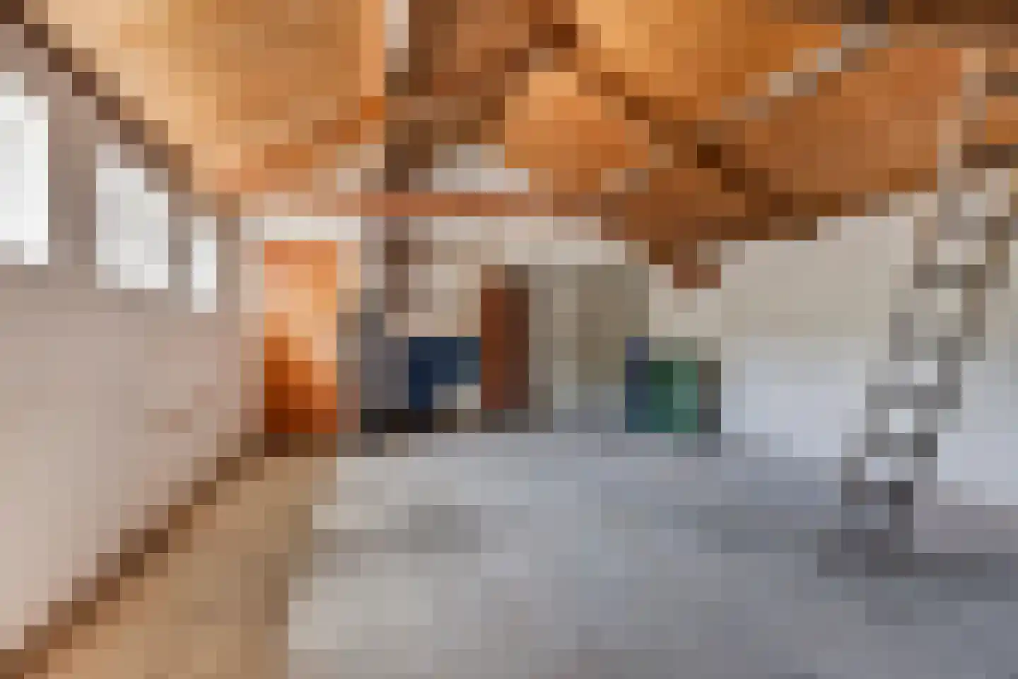 Vrijthof 4 Vierlingsbeek thumbnail 22