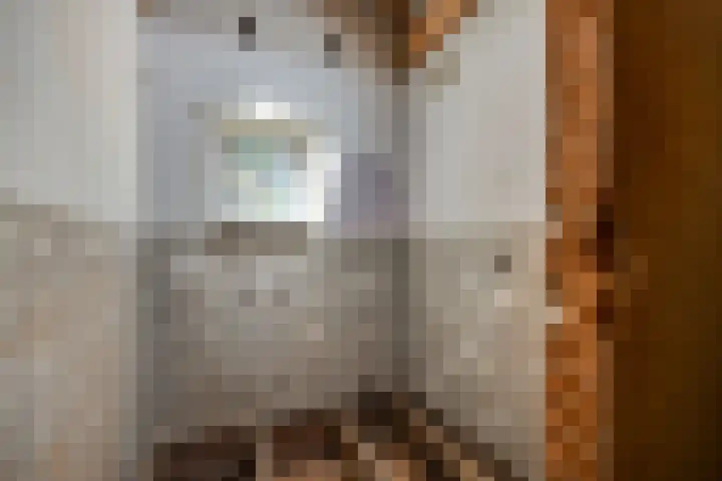 Vrijthof 4 Vierlingsbeek thumbnail 31