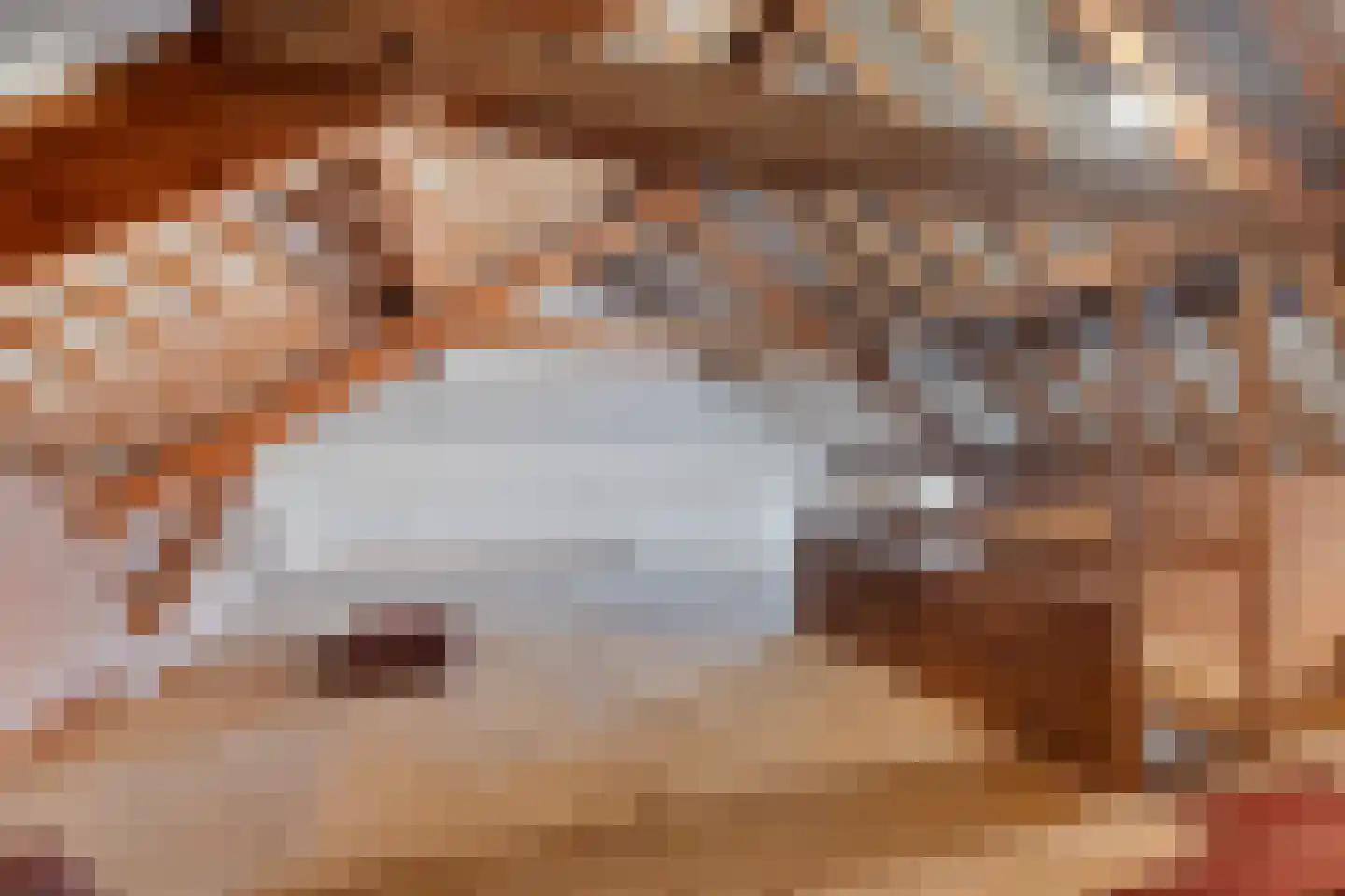 Vrijthof 4 Vierlingsbeek thumbnail 32