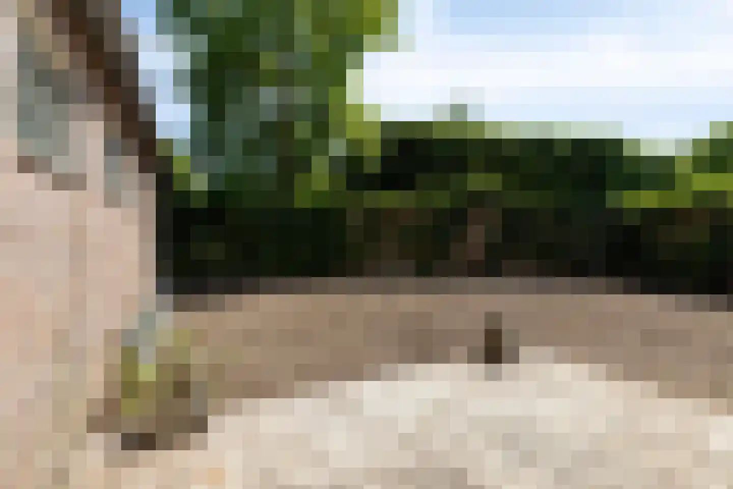 Vrijthof 4 Vierlingsbeek thumbnail 34