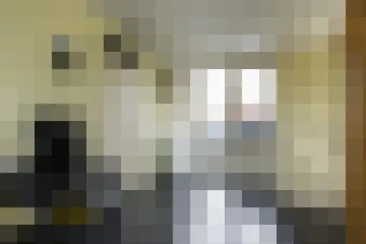 Vrijthof 8 Vleuten thumbnail 12