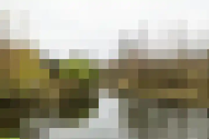 Vrijthof 8 Vleuten thumbnail 17